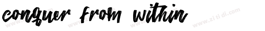 Conquer from within字体转换